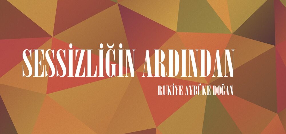 SESSİZLİĞİN ARDINDAN