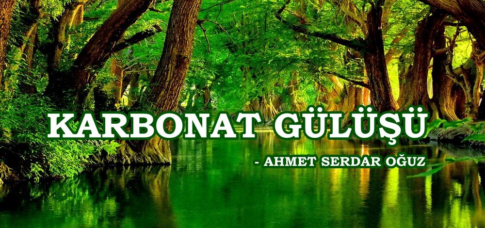 KARBONAT GÜLÜŞÜ