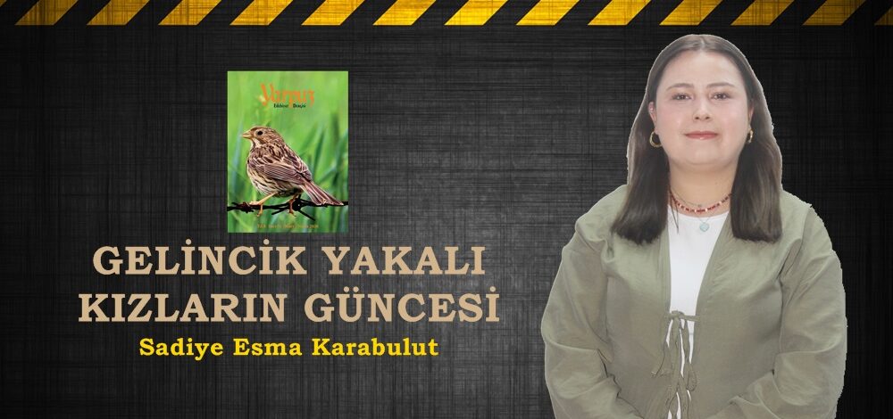 GELİNCİK YAKALI KIZLARIN GÜNCESİ