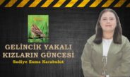 GELİNCİK YAKALI KIZLARIN GÜNCESİ