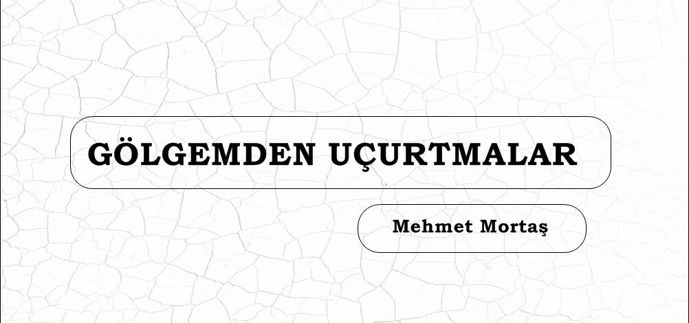 GÖLGEMDEN UÇURTMALAR 
