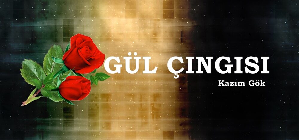 GÜL ÇINGISI