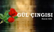 GÜL ÇINGISI