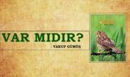 VAR MIDIR?