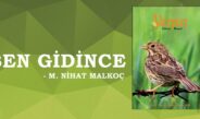 SEN GİDİNCE