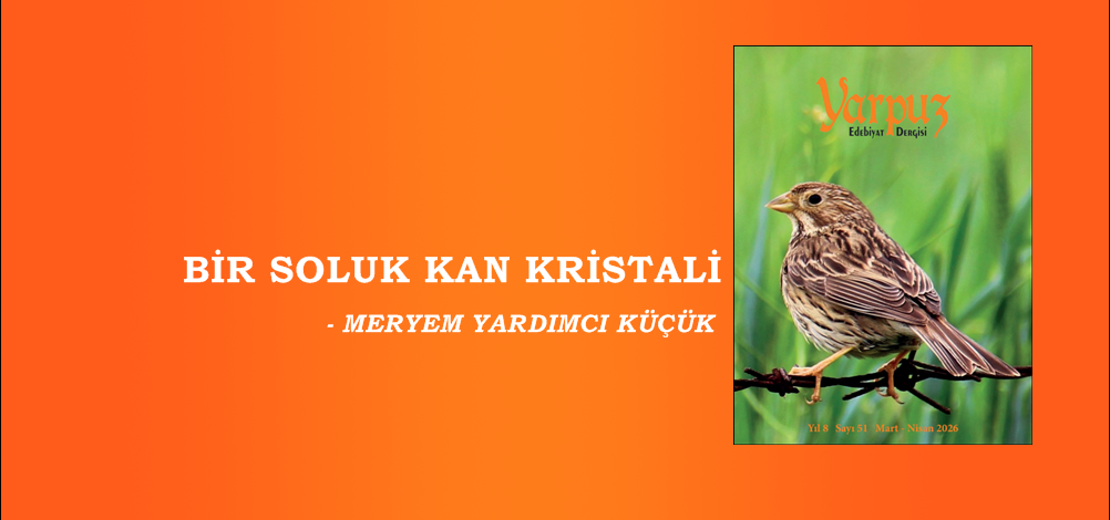 BİR SOLUK KAN KRİSTALİ