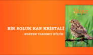 BİR SOLUK KAN KRİSTALİ