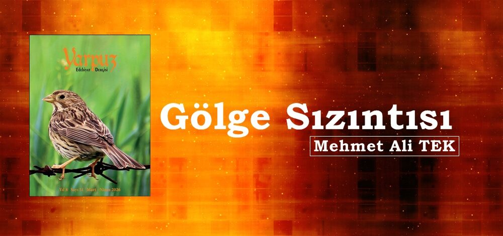 Gölge Sızıntısı