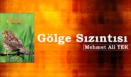 Gölge Sızıntısı