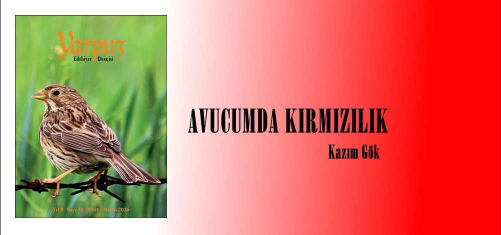 AVUCUMDA KIRMIZILIK  