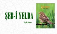 ŞEB-İ YELDA