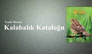 Kalabalık Kataloğu
