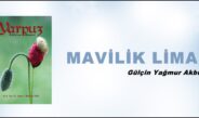 MAVİLİK LİMANI